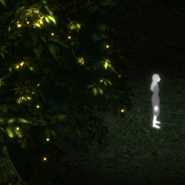 Innenwald Video Game, screenshot